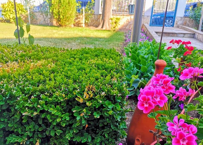 招待所 перфекто 切尔诺莫雷茨